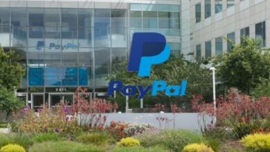 Govt Confirms Paypals Arrival in Pakistan