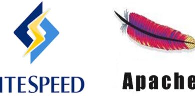 Litespeed or Apache Which One is Best for WordPress