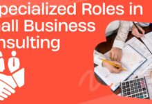 Becoming a Small Business Consultant Exploring 7 Specialized Roles