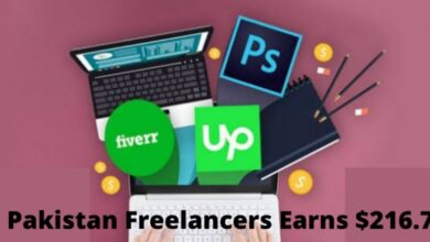 Pakistan Freelancers Earned $216.78 Million