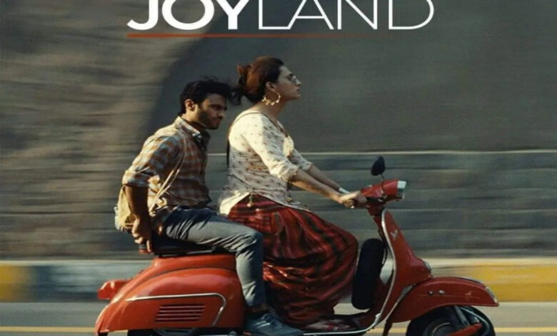 Controversy On Film Joyland