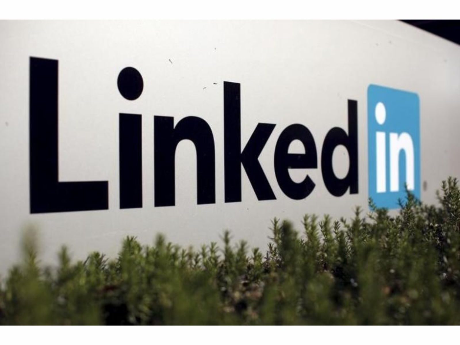 Schedule Posts Using LinkedIn's New Feature