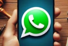 Blue WhatsApp Checkmark Feature