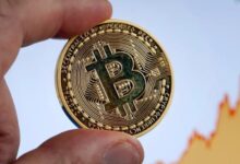 Trump's victory; Bitcoin rates hit all-time highs