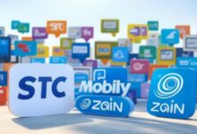 mobile internet offers