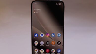 Google Pixel 10 Series Update Causes Screen Touch Glitch